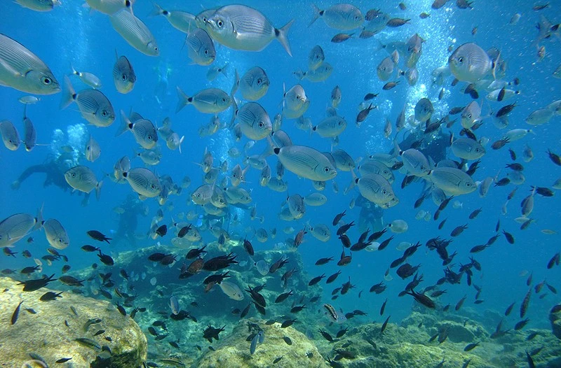  A favorite snorkeling location with clear water and rich marine life, perfect for exploring beneath the surface.